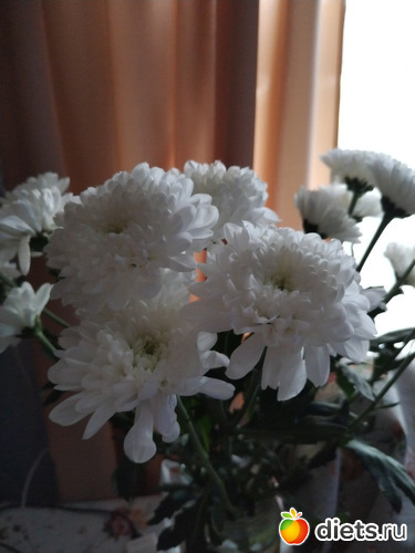 10 фото: ЖИТЬ ЗДОРОВО НЕ СМОТРЯ НИ НА ЧТО