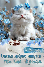 Просто показаться))) 22.08.2025