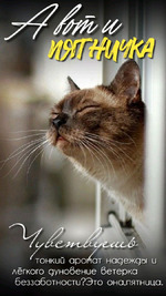 Пятница!!! Любимый день недели