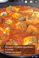 �������� � ��������