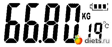 66.8 кг (12 декабря 2025)