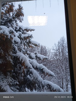 Короткий хвостик года