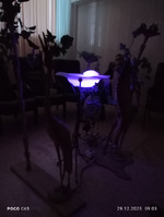 ����� ���������