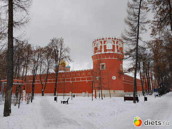 11 фото: У Донского монастыря