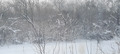 вид из окна электрички, я даже встала у окна, чтобы любоваться видами..