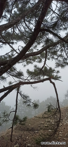 8 ����: !2025