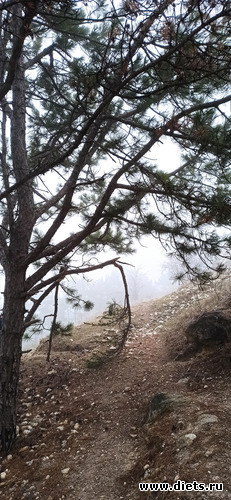 9 ����: !2025