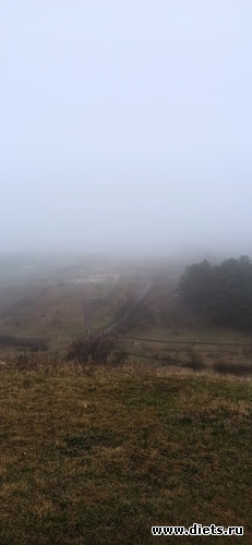 10 ����: !2025