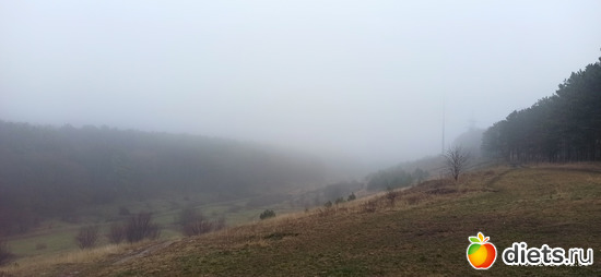 11 ����: !2025