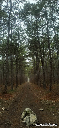 12 ����: !2025