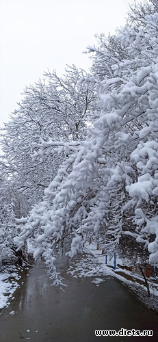 16 ����: !2025