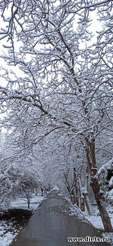 17 ����: !2025