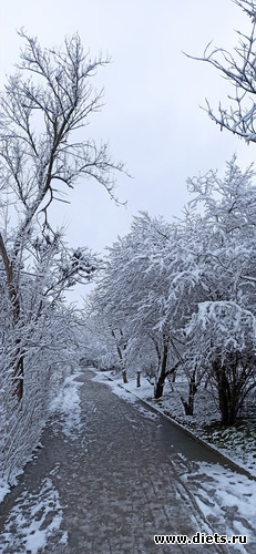 18 ����: !2025