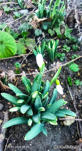 19 ����: !2025