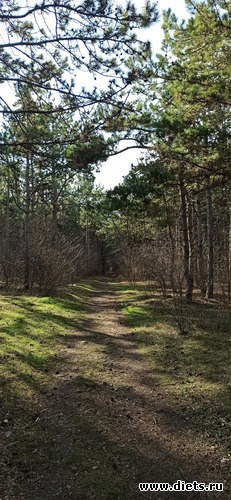 22 ����: !2025