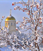 Долги наши.