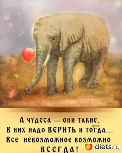 19 фото: ! Позитив