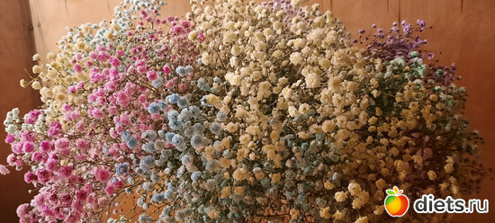 зимняя нежность, альбом: 2025 ПРАЗДНИКИ