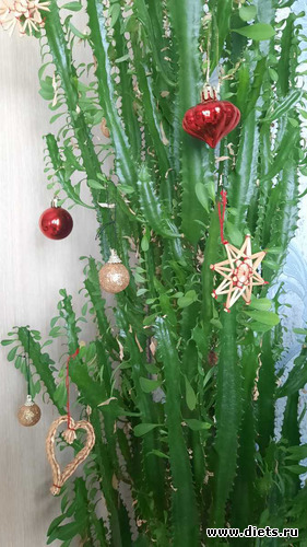 новогодние игрушки, свечи и хлопушки...., альбом: 2025 ПРАЗДНИКИ