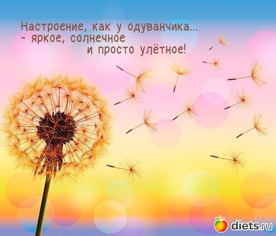 12 фото: ! Позитив