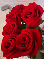 ��������� �� ������� ����������� 2025