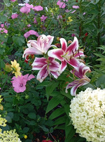 Сын уехал :(