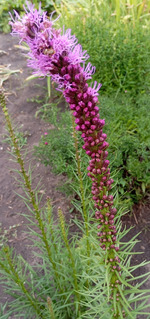 С понедельниклм! Удасной всем нкдели!