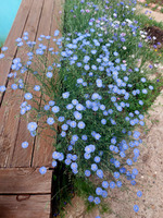 Новые цели и фобии.