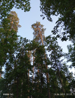 Отдых в разгаре