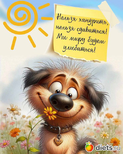 23 фото: ! Позитив