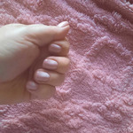 ������������ � �����������