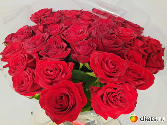 ���� �� ���������, ������: 2025 ���������