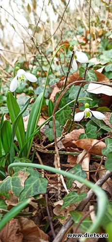 6 ����: !2025 �������