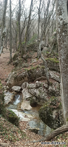 7 фото: !2025 Поездки