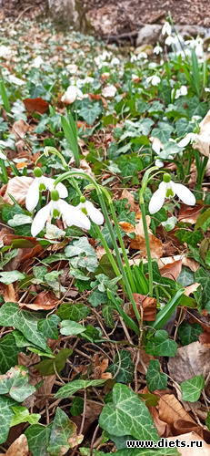 8 фото: !2025 Поездки