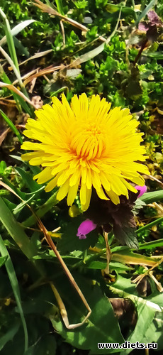 23 ����: !2025