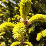 ������� ��������, ���������� ���!