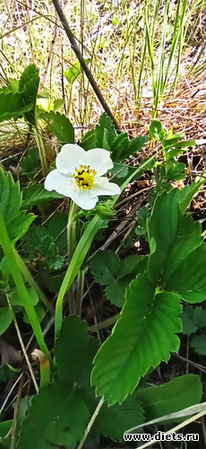 26 ����: !2025