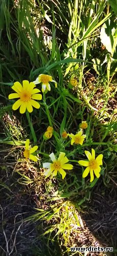 28 ����: !2025