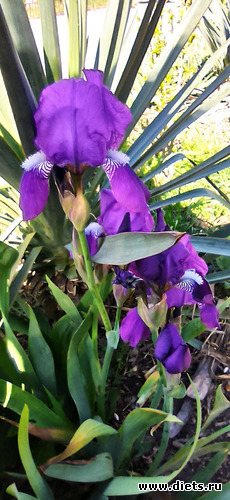 31 ����: !2025