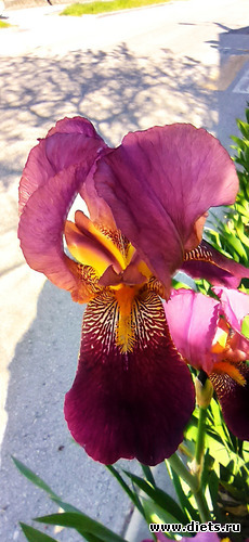 32 ����: !2025