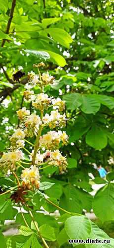 33 ����: !2025