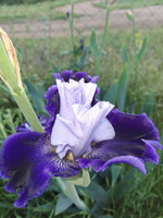 Дни тринадцатый и четырнадцатый. После праздничный.