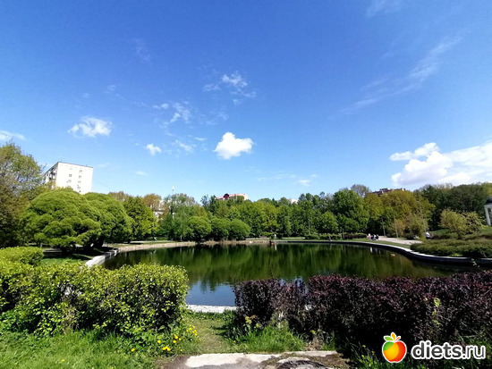 4 фото: Прогулки...