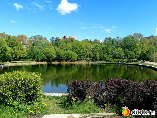 5 фото: Прогулки...