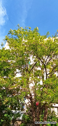 48 ����: !2025