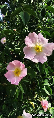 49 ����: !2025