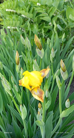 Суббота. Ленюсь