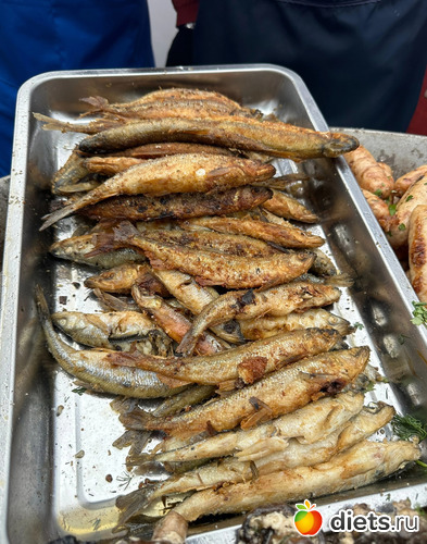 7 фото: Корюшка идет 2025