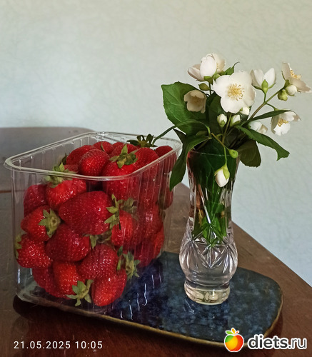 51 ����: !2025